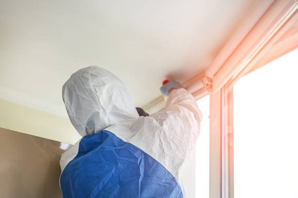 Best Mold Prevention Services  in Mcconnellsburg, PA